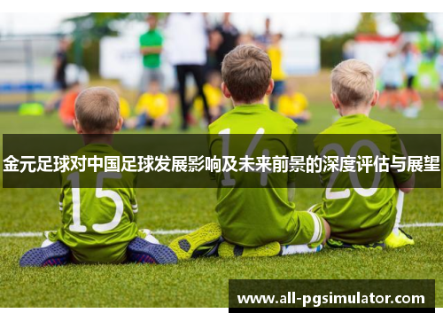 金元足球对中国足球发展影响及未来前景的深度评估与展望 金元足球对中国足球发展影响及未来前景的深度评估与展望